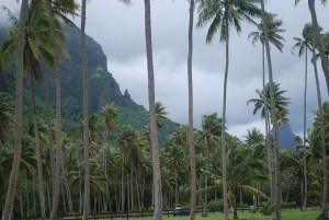 Moorea in the Society Islands of French Polynesia©Jean Janssen