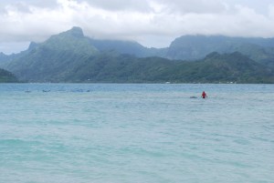 Resident off the motu checking his fish trap, Raiatea, Society Islands, French Polynesia. ©Jean Janssen