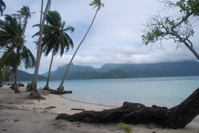 A view of Raiatea, Society Islands, French Polynesia from the motu we visited.©Jean Janssen