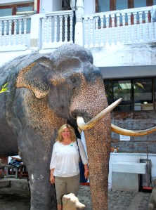 At the Gangaramaya Temple in Colombo, Sri Lanka.