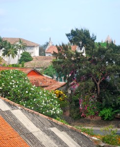 Rooftops and flowers as seen from the clock tower at the Dutch Fort in Galle, Sri Lanka. ©Jean Janssen