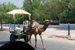Agra, India ©Jean Janssen