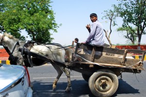On the highway in Agra, India. ©Jean Janssen