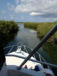Passing through the mangroves.  Turneffe Atoll, Belize ©Jean Janssen