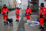 Rescue Dogs in Passau, Germany.  One of these guys was wrapped up for the cold. ©Jean Janssen