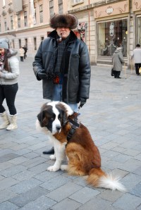 A fellow Houstonian (not living in Slovakia) and his Russian breed dog.  These dogs are often used in Russian prisons to control the inmates. ©Jean Janssen