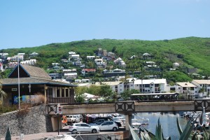 All over the Reunion coastline we saw housing terraced up the hillside. ©Jean Janssen