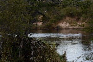 ©Jean Janssen Our break spot along the Ruaha River, Tanzania