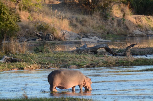 ©Jean Janssen Ruaha River, Tanzania
