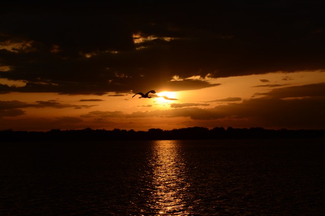 ©Jean Janssen  Siwandu, Selous Game Reserve, Tanzania.