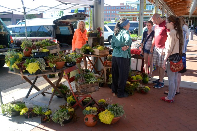 My cousin Deb (in orange) helped me pick out some beautiful succulent arrangements at the Downtown Market in GR. ©Jean Janssen