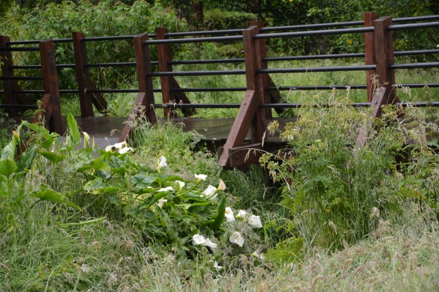 Footbridge on the grounds of Blarney Castle. Cork, Ireland ©Jean Janssen