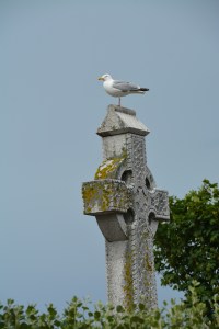 Celtic cross in the marina at Howth, Dublin Bay, Ireland  ©Jean Janssen