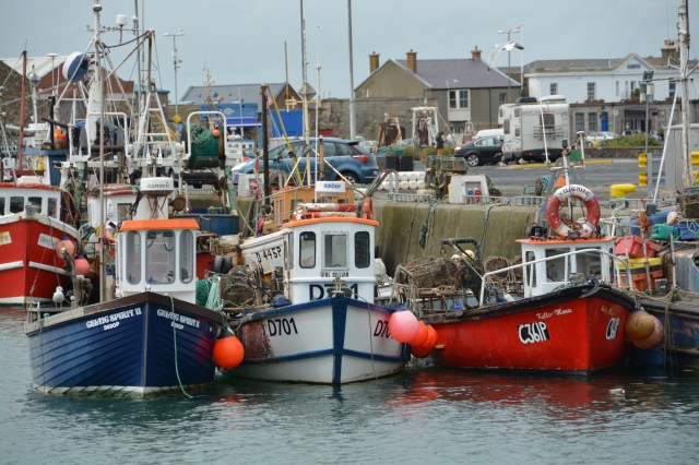 Fishing boats in the Howth marina, Dublin Bay, Ireland  ©Jean Janssen