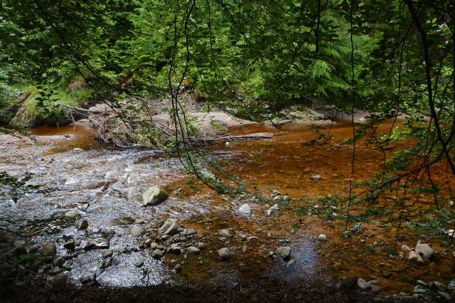 The wild garden and stream where reached by passing through a door in the castle garden walls.  Cawdor Castle, Nairn, Scotland ©Jean Janssen