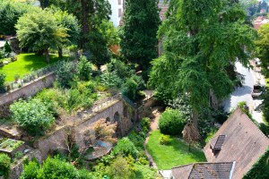 gardens viewed, looking down from the castle, Heidelberg, Germany ©Jean Janssen