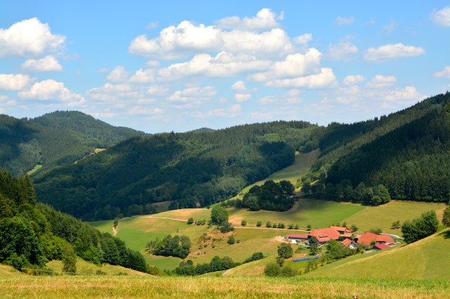 The Black Forest, Germany ©Jean Janssen