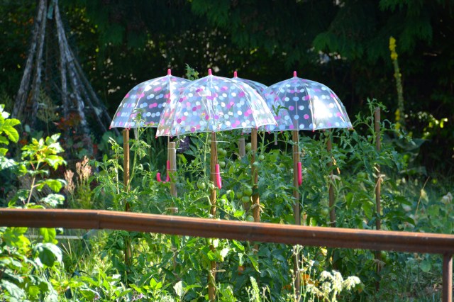 A great use for children's umbrellas, Kaysersberg, France ©Jean Janssen