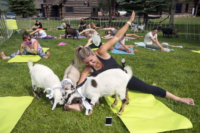 97088885_1396912970519352_8460475116533317632_o